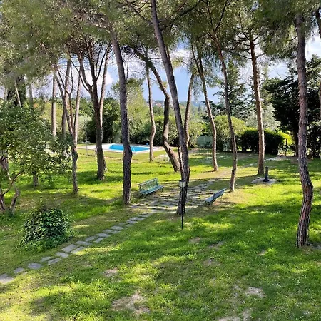Aurora House Villa
