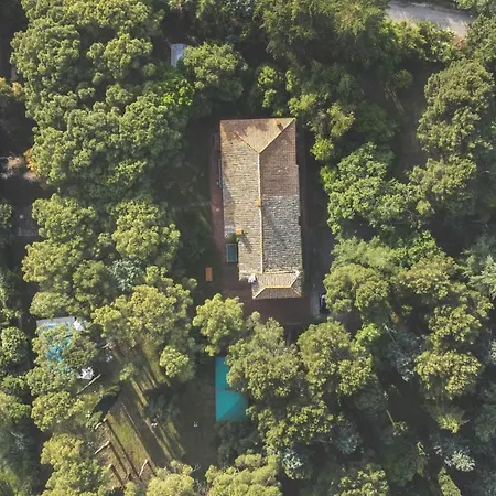 Aurora House Villa