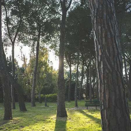 فيلة Aurora House