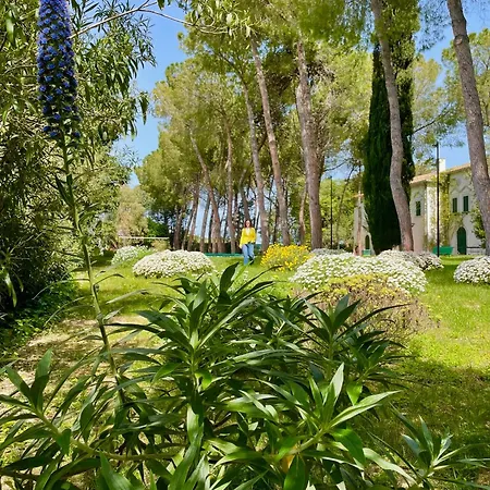 Villa Aurora House Vasto