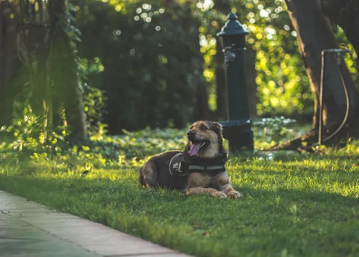 Aurora House Вилла